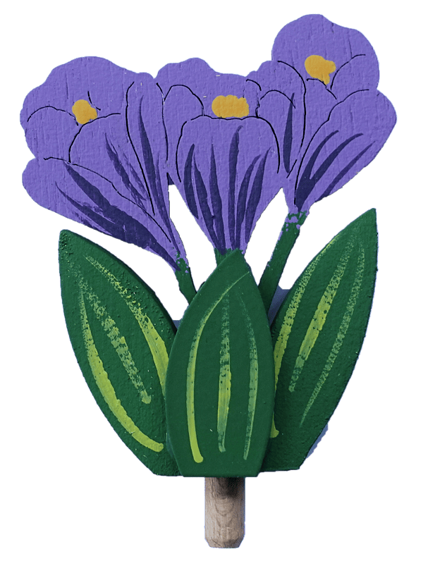 Blume - Krokusse lila - Steckfigur für den großen Kerzenring von Sebastian Design Blume - Krokusse lila - Steckfigur für den großen Kerzenring von Sebastian Design